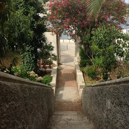 Loredana Guest house 3*